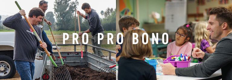 Pro Pro Bono